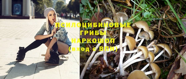 МДПВ Верея