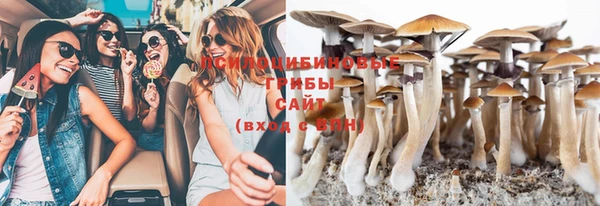 соль ск Верхнеуральск