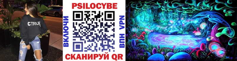 купить  цена  Чебоксары  Галлюциногенные грибы Magic Shrooms 